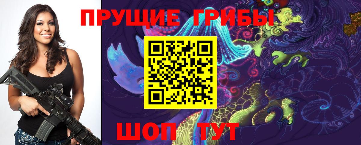 Псилоцибиновые грибы прущие грибы Людиново